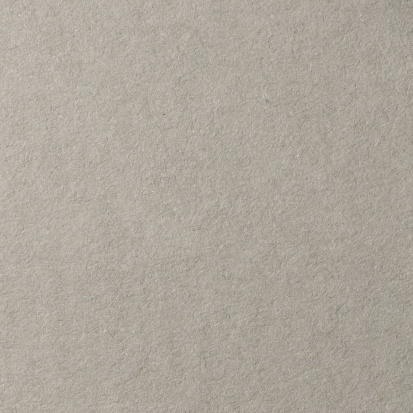 Бумага для пастели Lana холодный серый 160г/м2 А4 1л 